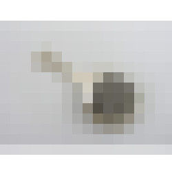 dscn8977 1