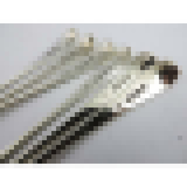 dscn9062 1