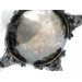 dscn3754