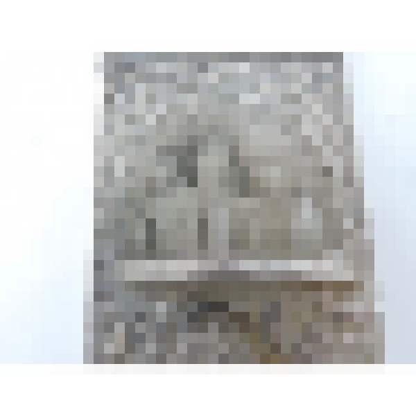 dscn5023