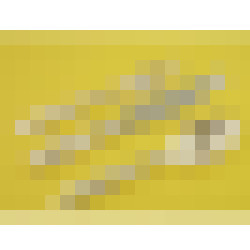 dscn5673 1 1