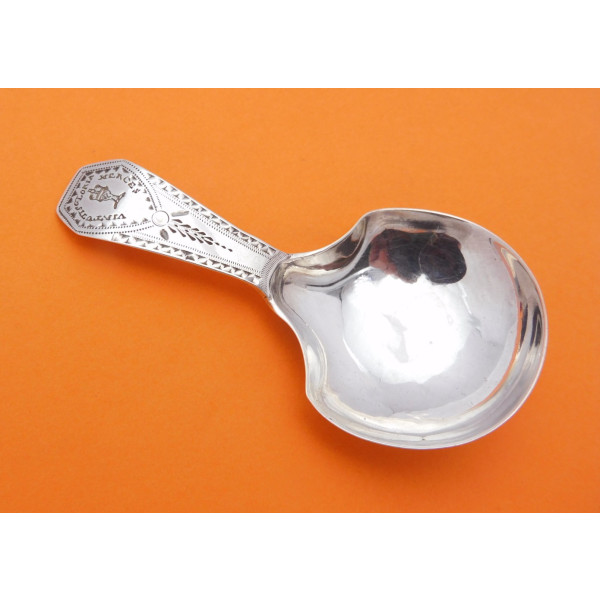silver virtutis gloria merces caddy spoon